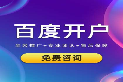 百度竞价SEM深度解析：某行业成功推广经验